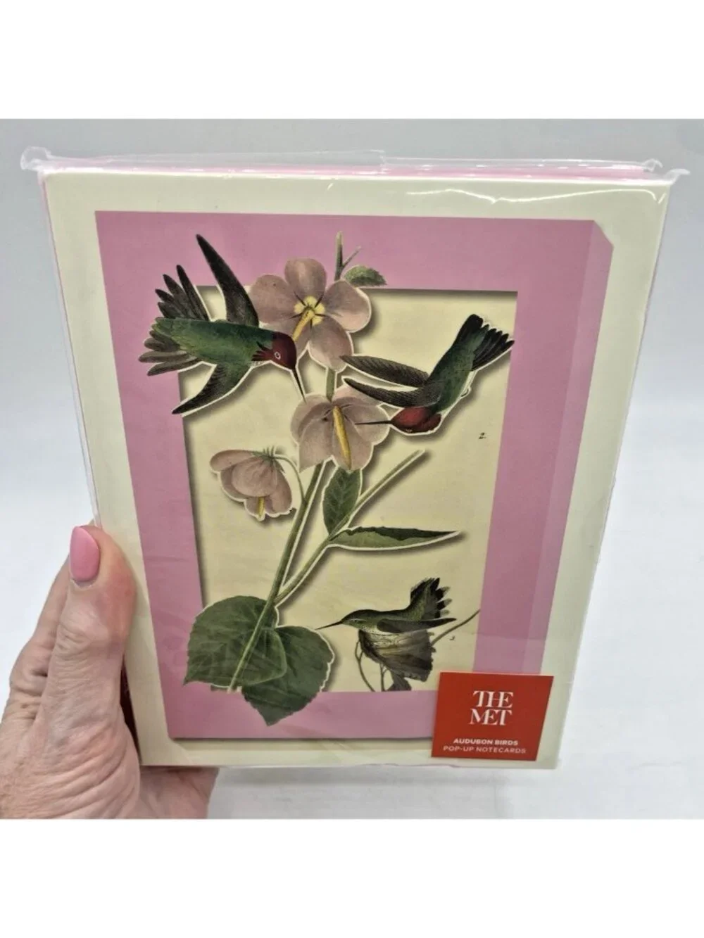 Metropolitan Museum of Art Audubon Birds Pop Up Notecards & Envelopes Set 8